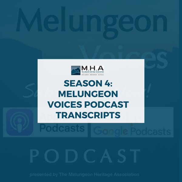 mha season 4 podcast